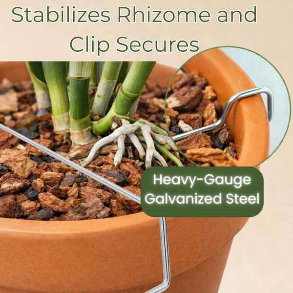 Orchid Nerd Galvanized Rhizome Clips – 4