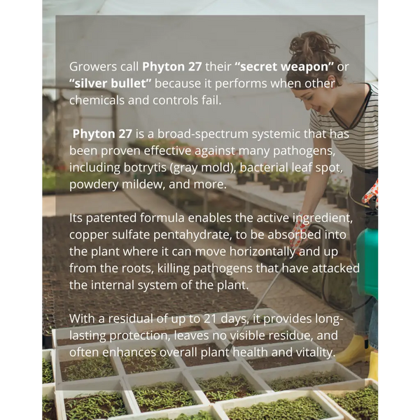 Phyton 27 2oz Waldor Orchids