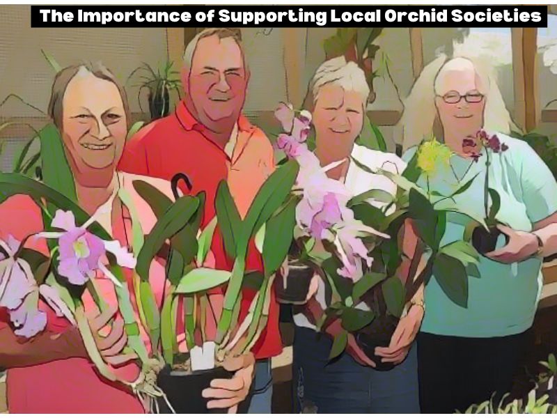 The Importance of Supporting Local Orchid Societies
