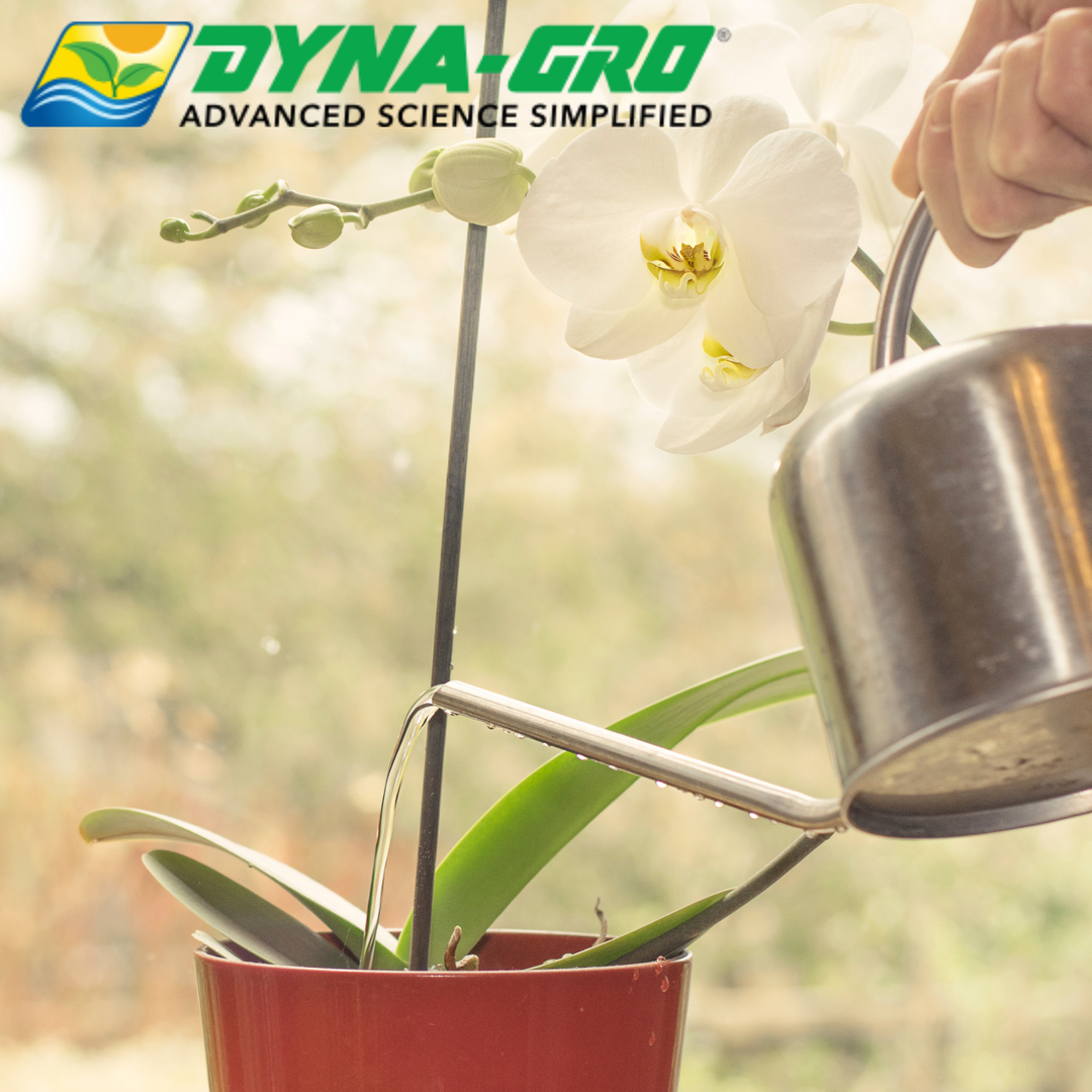 What is Dyna Grow Fertilizer
