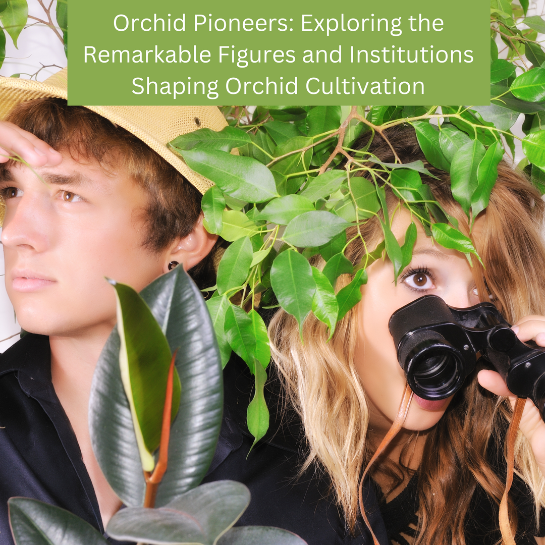 Orchid Pioneers: Exploring the Remarkable Figures and Institutions Shaping Orchid Cultivation