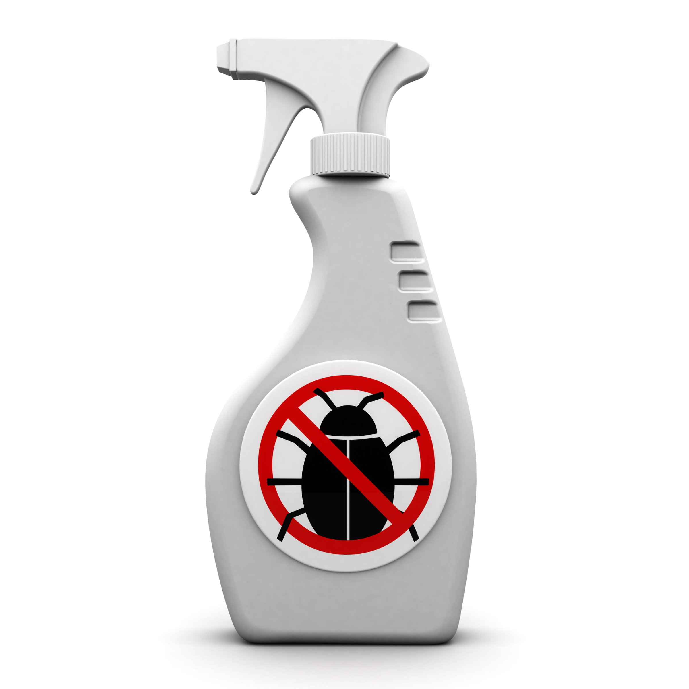 Effective Strategies to Combat Mealy Bug Infestation in Your Orchid Greenhouse