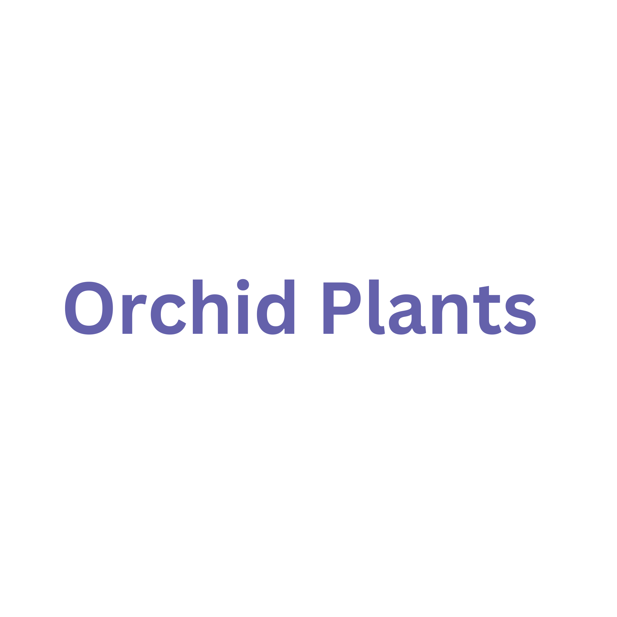 Looking for Orchids Plants to expand your collection