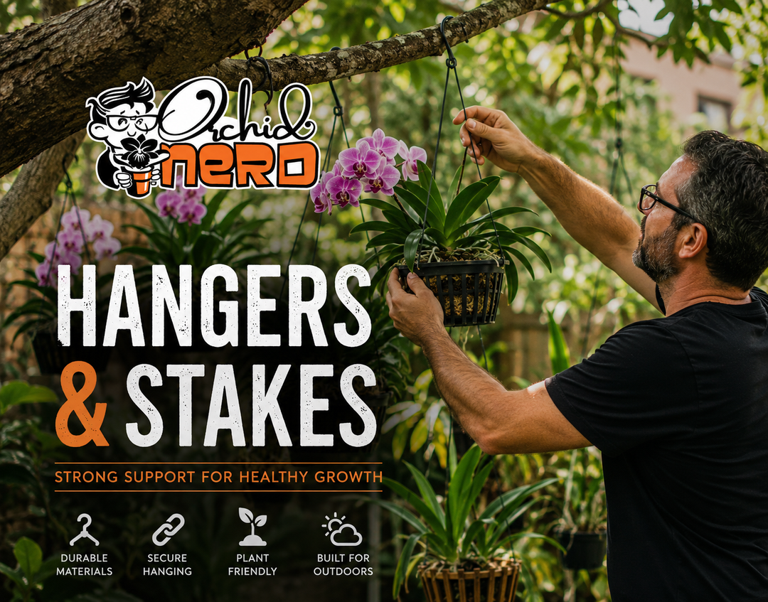 Orchid Plant Supports & Hangers For Your Plants
