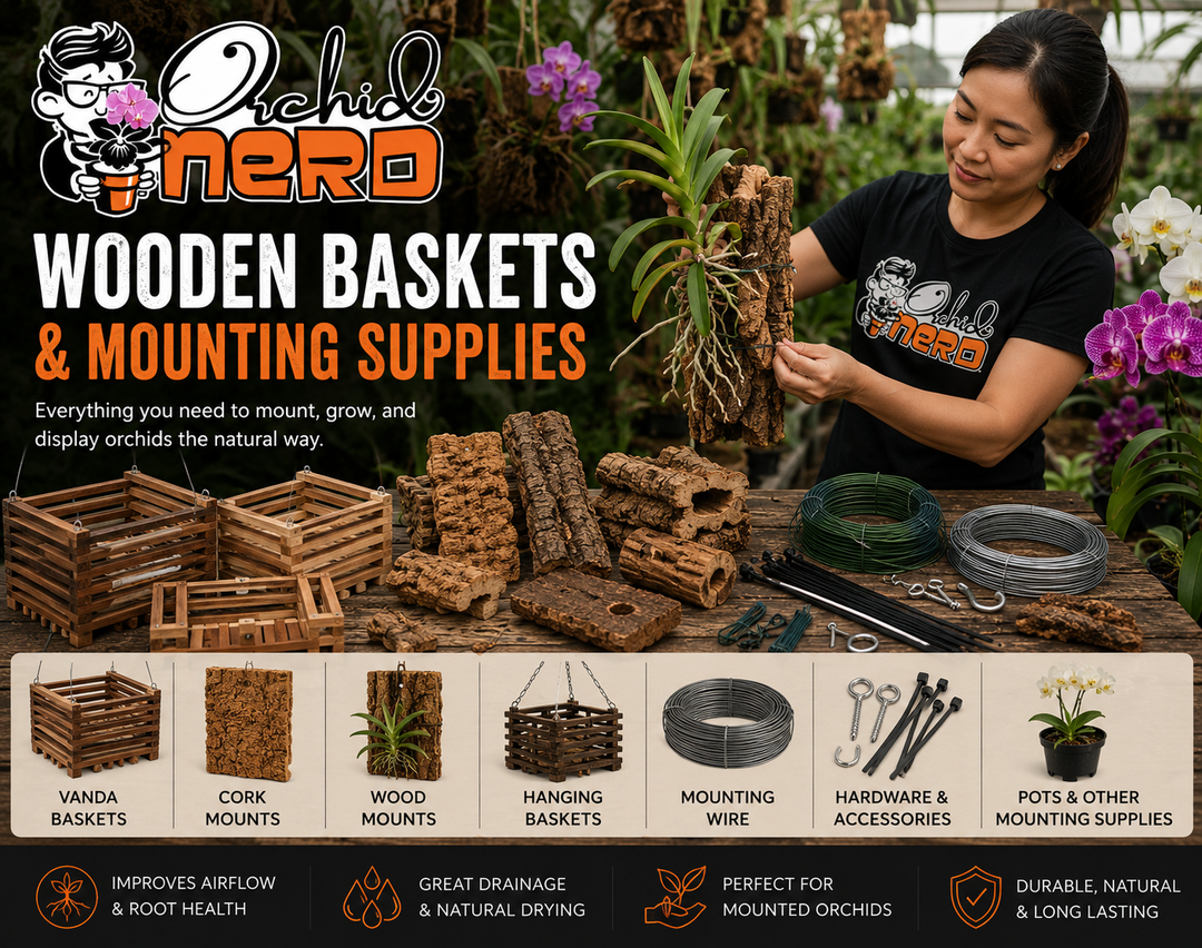 Wooden Orchid Baskets and Mounting Supplies collection banner featuring Vanda baskets, cork mounts, mounted orchids, hanging baskets, mounting wire, and orchid mounting accessories displayed inside a tropical greenhouse at Waldor Orchids