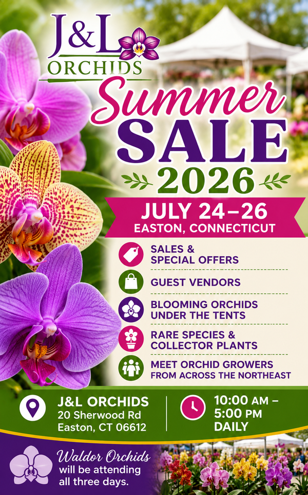  J&L Orchids 2026 Summer Sale 
