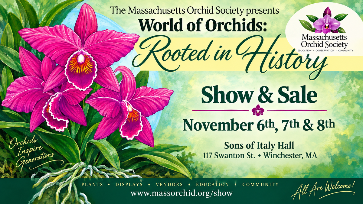 Massachusetts Orchid Society 2026 Annual Show & Sale | Waldor Orchids
