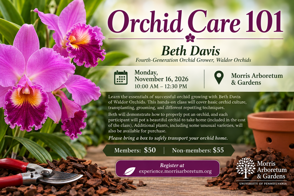 Beth teaches an Orchid Class at the Morris Arboretum