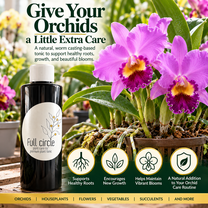 Full Circle Premium Plant Tonic 16 oz bottle beside blooming purple Cattleya orchids, highlighting orchid root health, new growth, and plant care.