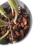 Orchid Nerd Galvanized Rhizome Clips for Plastic Pots – 4" or 5" (10 Pack)