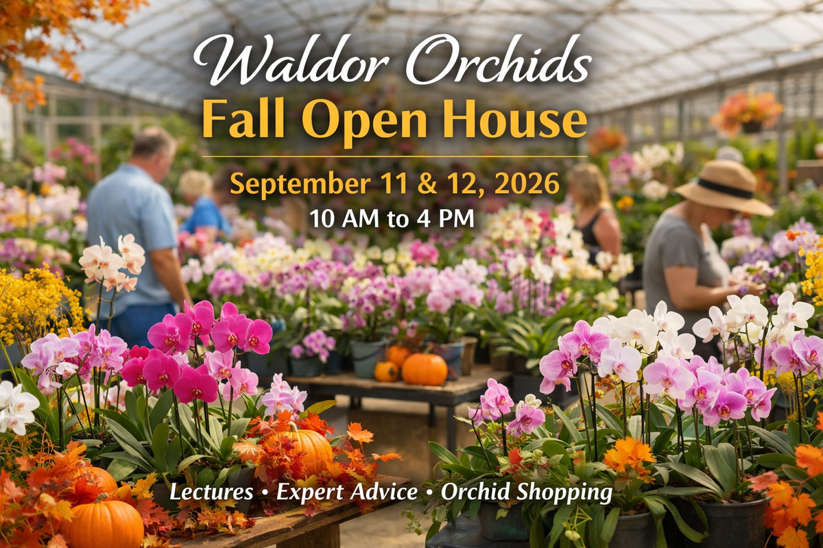 Waldor Orchids Fall Open House