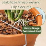 Orchid Nerd Galvanized Metal Rhizome Clips – 10 Pack, 25 Pack, or 30 Pack Variety