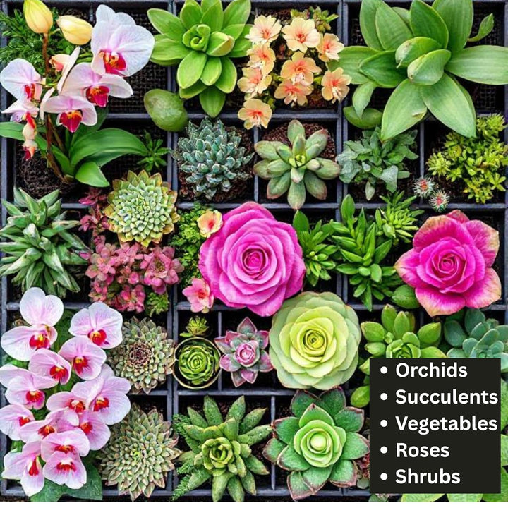 Colorful assortment of orchids, Succulents, roses, and shrubs displayed in a grid layout.