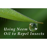 Dyna-Gro’s® Neem Oil Organic Pesticide and Fungicide.8 oz.