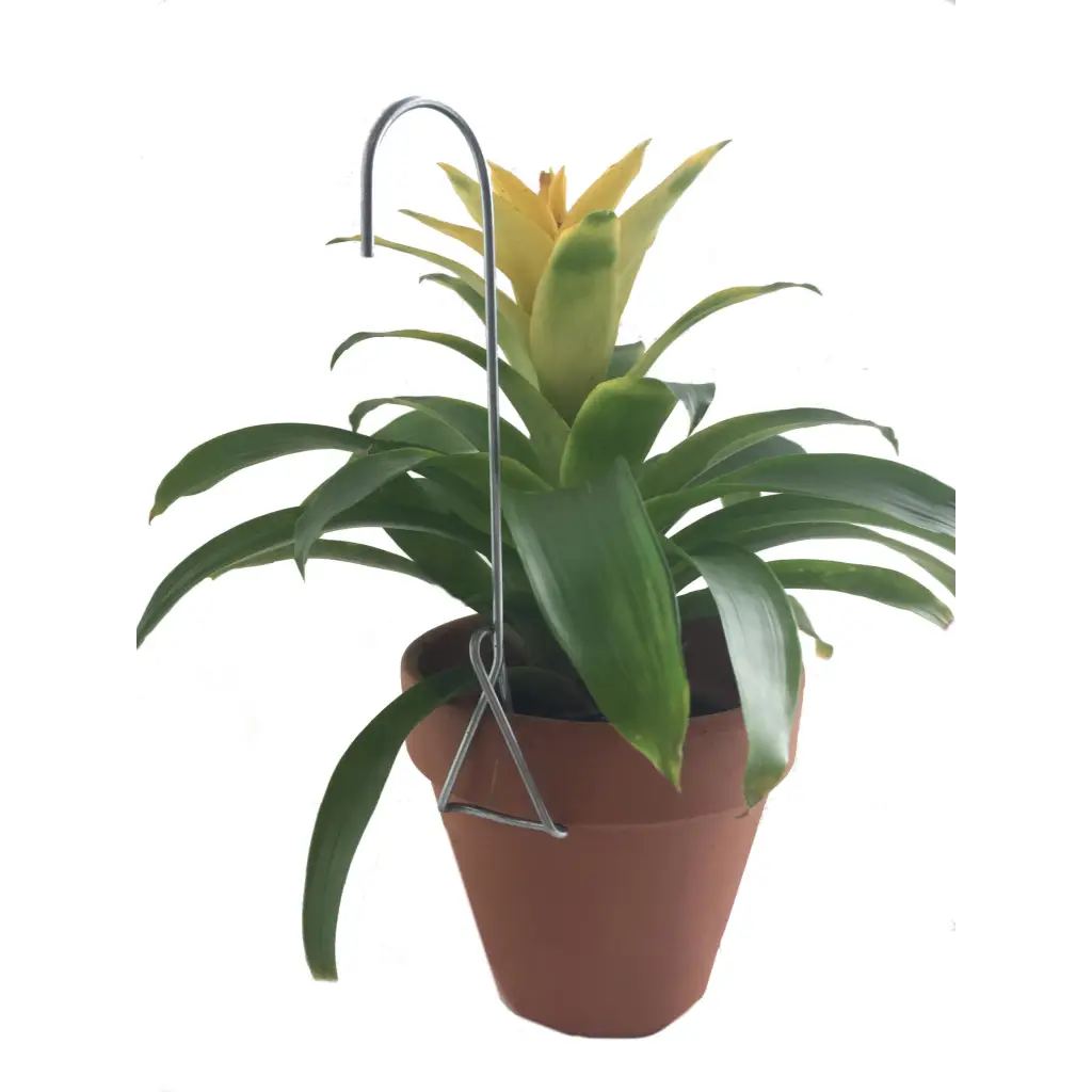 clip on plant pots Orchid Nerd 7 Inch Single Clip-on Mini Pot Hanger – 5 Pack or 10 Pack