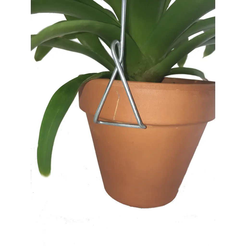 https://www.waldor.com/cdn/shop/products/orchid-nerd-7-inch-single-clip-on-pot-hanger-665.webp?v=1682105478