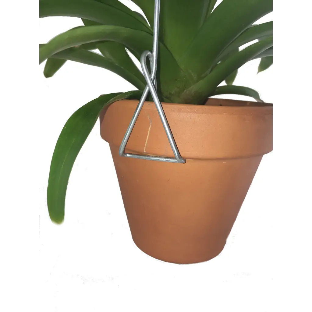Orchid Nerd 7 Inch Single Clip-on Mini Pot Hanger – 5 Pack or 10 Pack Orchid Nerd 7 Inch Single Clip-on Mini Pot Hanger – 5 Pack or 10 Pack