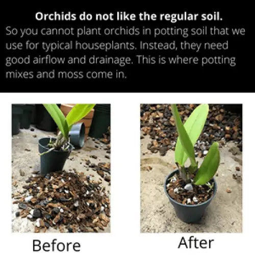 Orchid Nerd ™ All-Purpose Orchid Potting Mix 1 Cubic Foot
