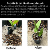 Orchid Nerd ™ All-Purpose Orchid Potting Mix 1 Cubic Foot