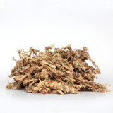 Orchid Nerd ™ Compressed Sphagnum Moss 150 Grams.