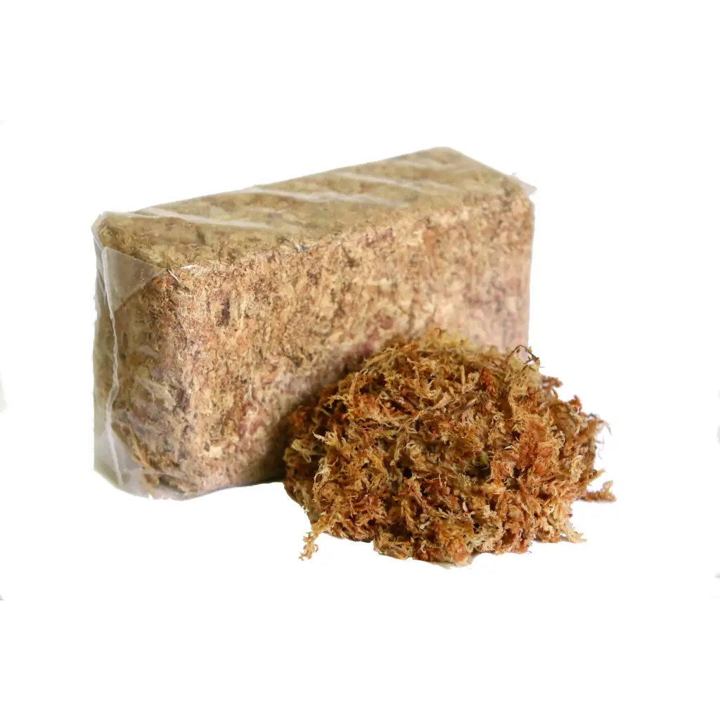 Orchid Nerd ™ Compressed Sphagnum Moss 150 Grams.