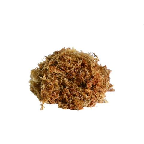 Orchid Nerd ™ Compressed Sphagnum Moss 150 Grams - Waldor Orchids