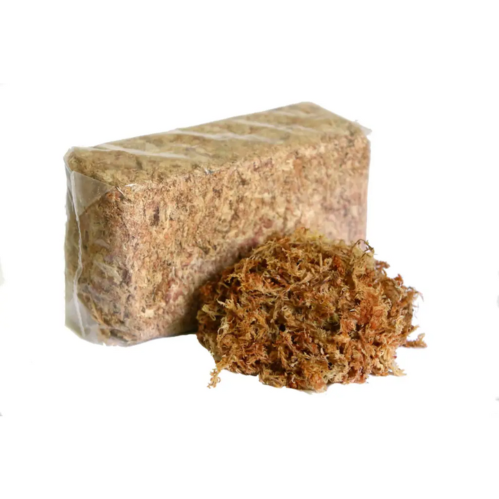 Orchid Nerd ™ Compressed Sphagnum Moss 5 Kilo.