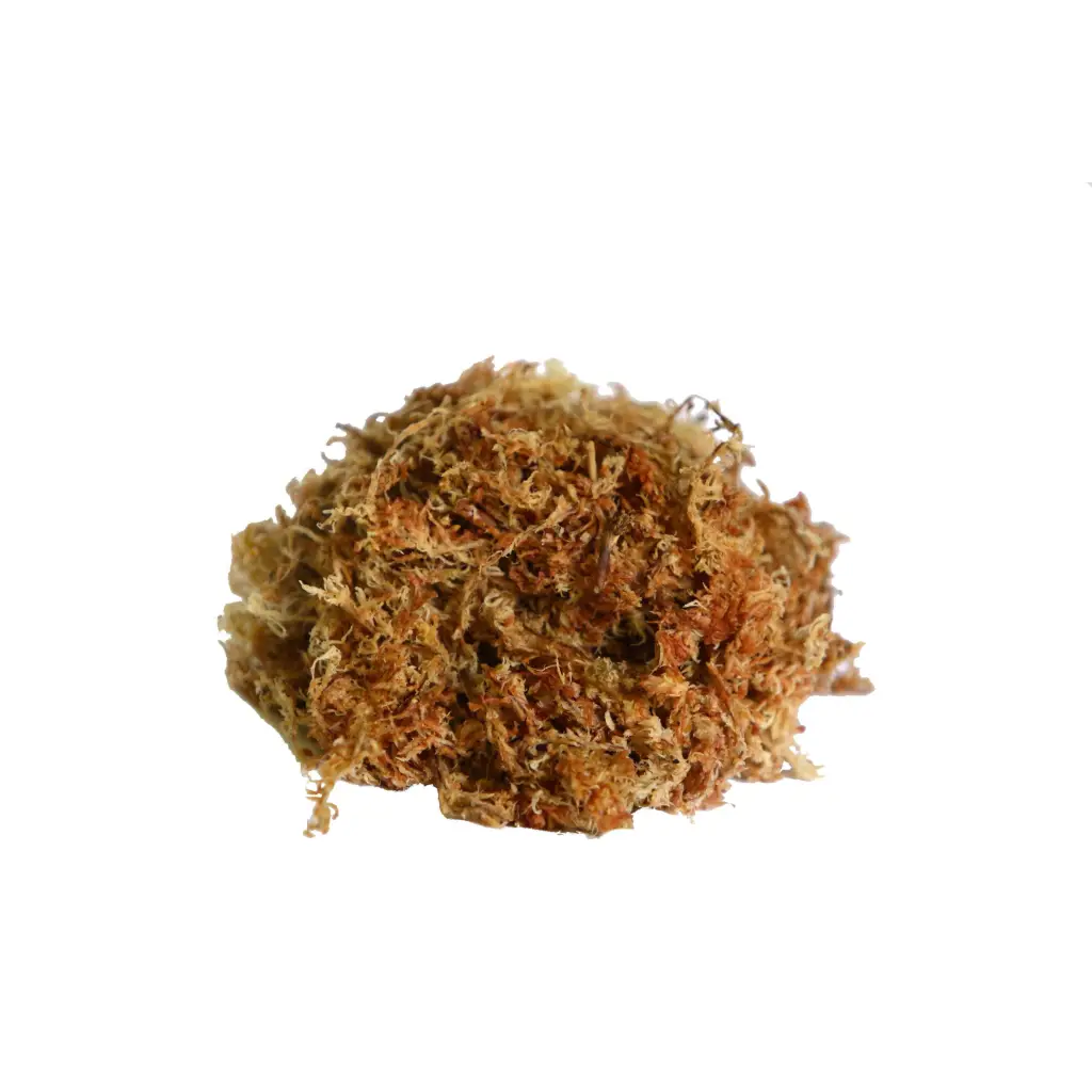 Orchid Nerd ™ Compressed Sphagnum Moss 5 Kilo.