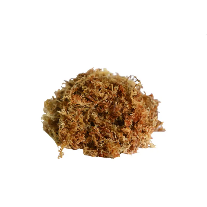 Orchid Nerd ™ Compressed Sphagnum Moss 5 Kilo.