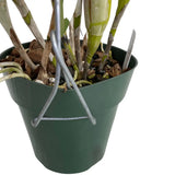 Orchid Nerd ™ Galvanized Double Clay Pot Metal Hangers 18" inch.