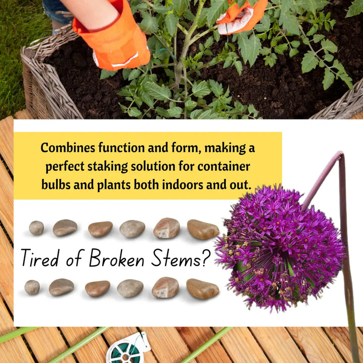 Orchid Nerd ™ Metal Wire Plant Support and Garden Stake -