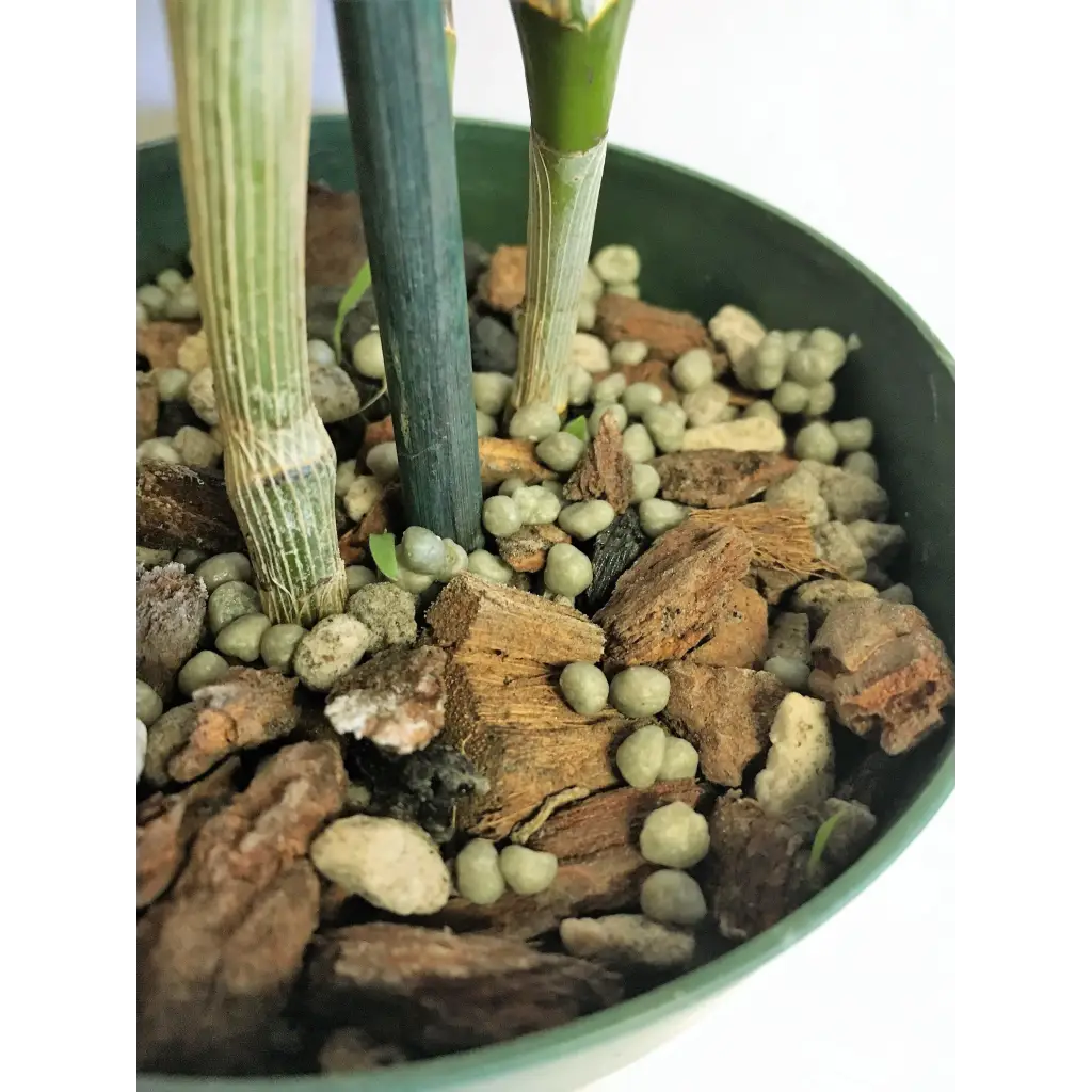 Orchid Nerd ™ Nutricote 18-6-8 All Purpose Slow Time Release Fertilizer 180 Day 13 ounces.