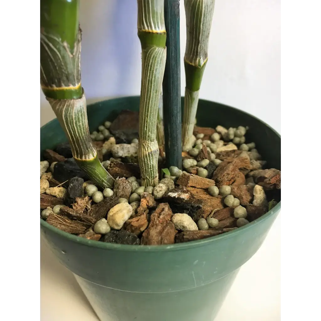 Orchid Nerd ™ Nutricote 18-6-8 All Purpose Slow Time Release Fertilizer 180 Day 13 ounces.