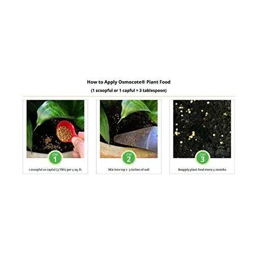 Orchid Nerd ™ Osmocote Classic Flower and Vegetable Smart-Release All Purpose Plant Food, 15 oz (14-14-14 Plant Fertilizer).