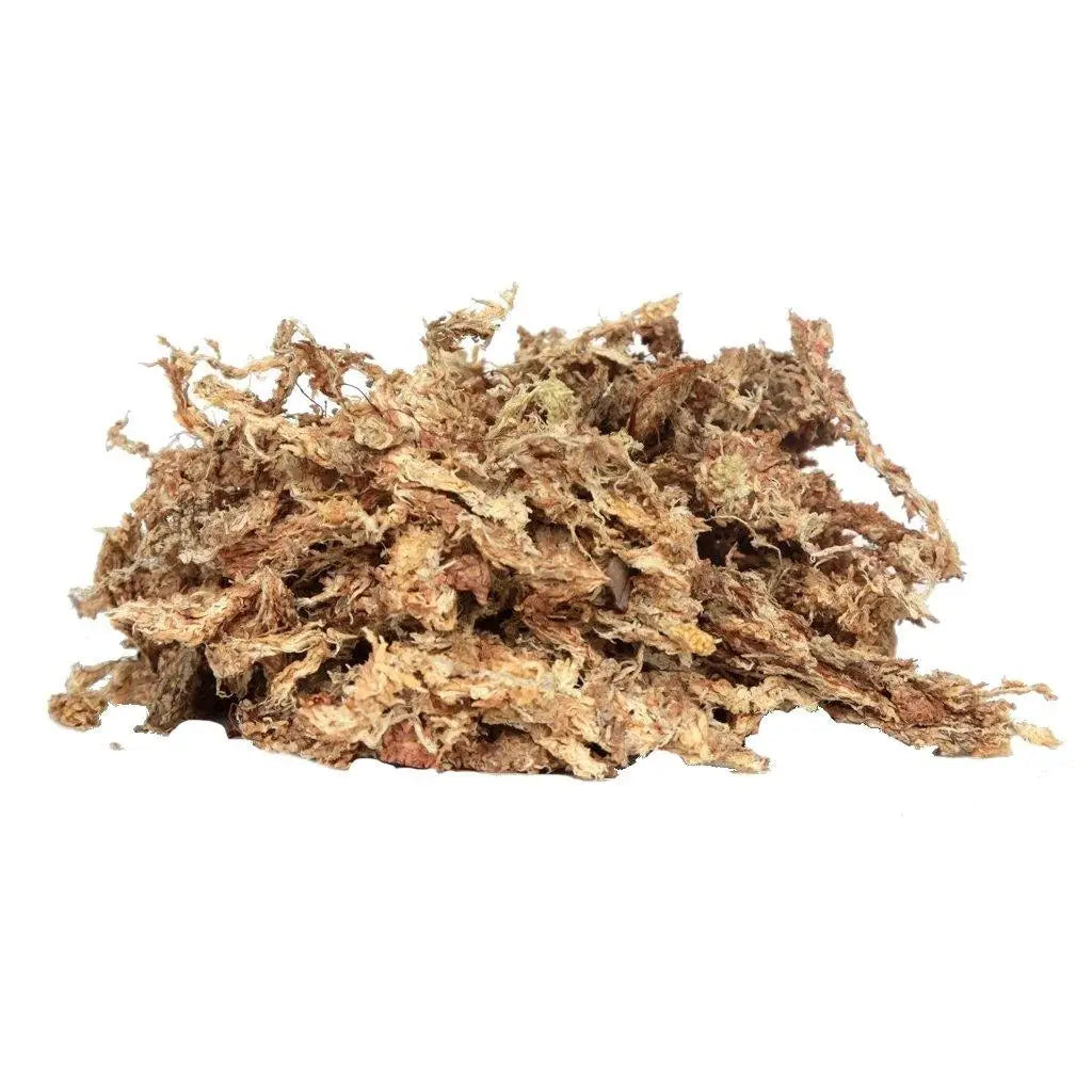 Orchid Nerd premium Peruvian sphagnum moss 150g brick for orchids and tropical plants, superior water retention.